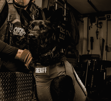 Ballistic Protection for your K9 Partner